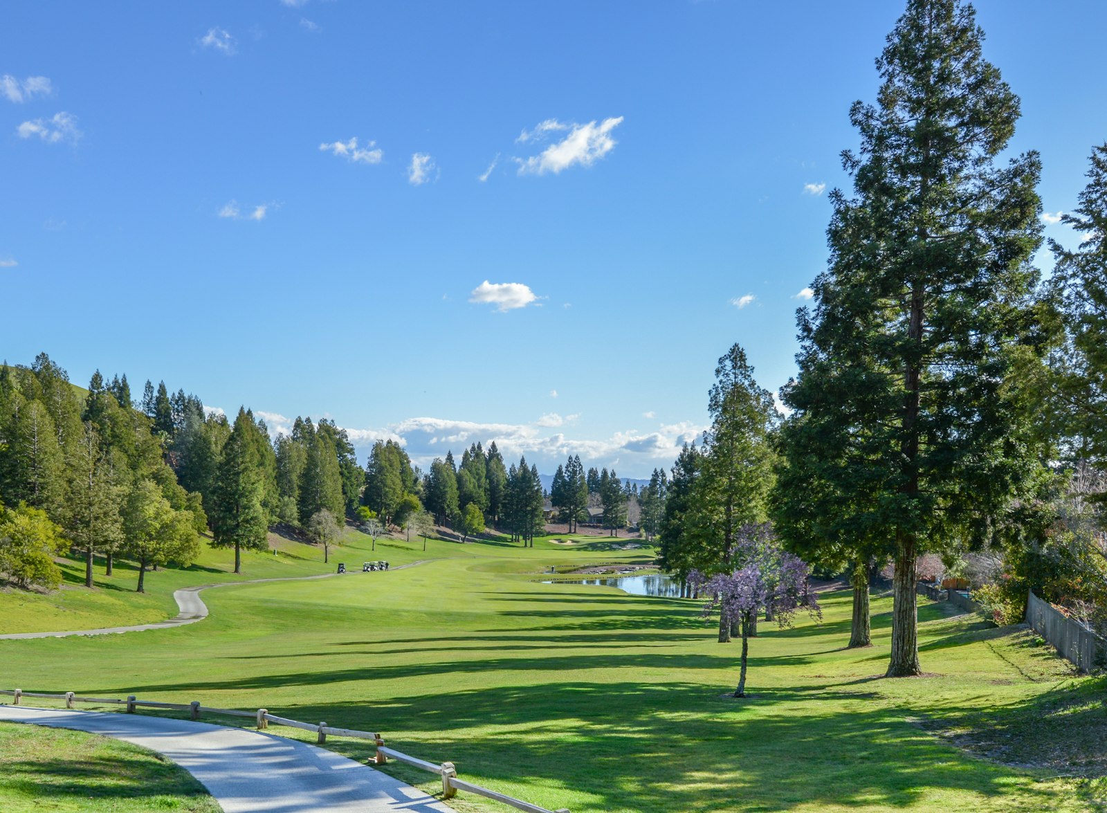 John Deere Classic 今開打:史畢斯領軍,天才小將 Koivun 轉職業首戰
